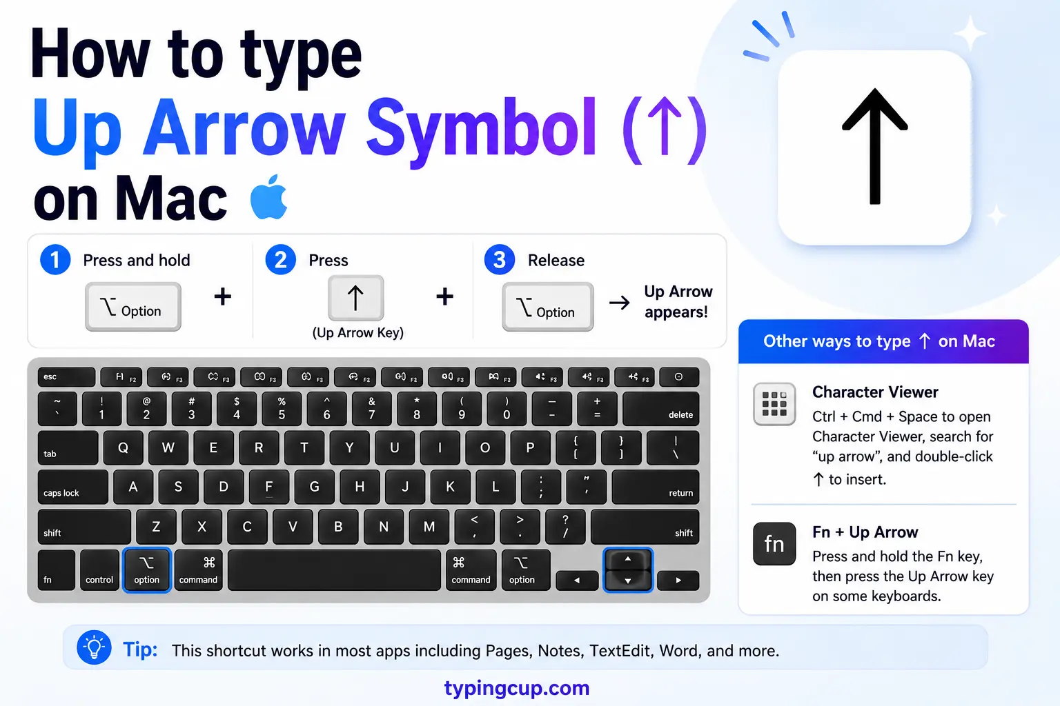 How to type Up Arrow Symbol (↑) on Mac